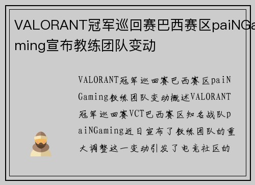 VALORANT冠军巡回赛巴西赛区paiNGaming宣布教练团队变动