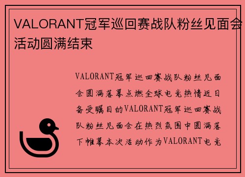 VALORANT冠军巡回赛战队粉丝见面会活动圆满结束