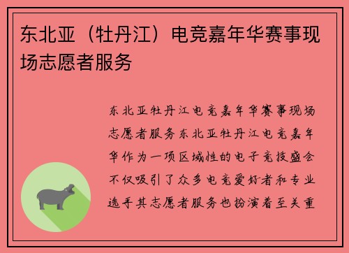 东北亚（牡丹江）电竞嘉年华赛事现场志愿者服务